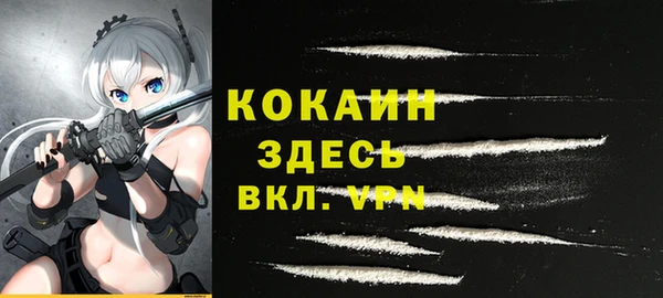 прущая мука Арсеньев