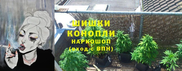 трава Аркадак
