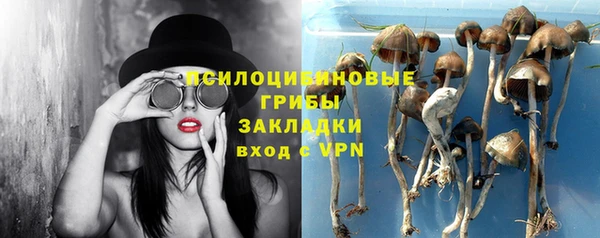 трава Аркадак