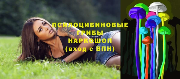 прущая мука Арсеньев